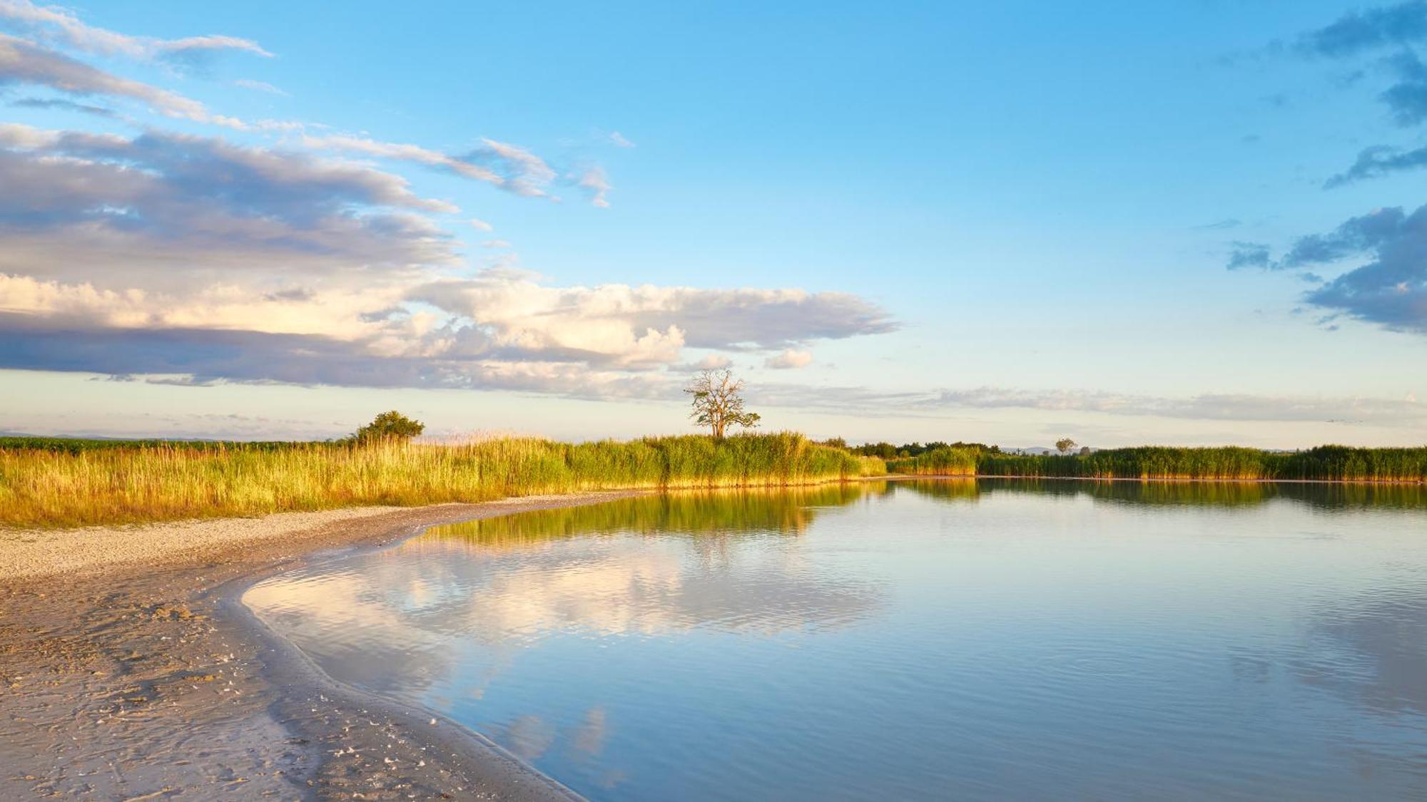 Pannonia Apartments Mörbisch am See Buitenkant foto