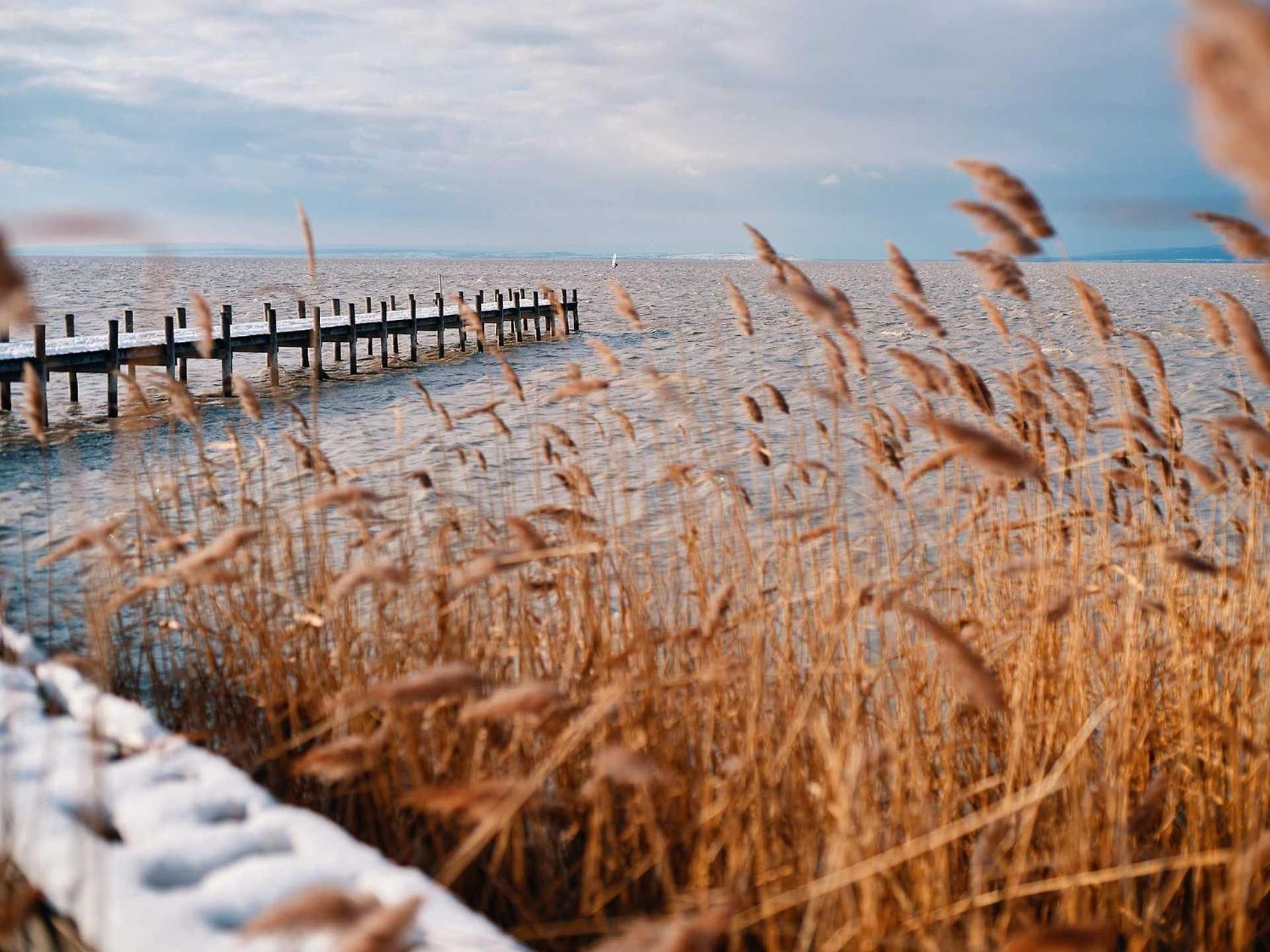 Pannonia Apartments Mörbisch am See Buitenkant foto